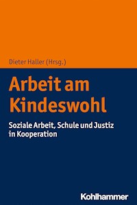 Arbeit am Kindeswohl -  - ebook