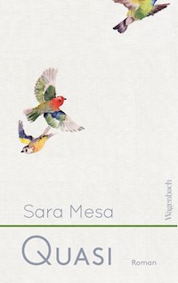 Quasi - Sara Mesa - ebook