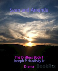 Sean and Amanda - Joseph P Hradisky Jr - ebook