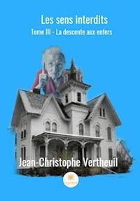 La descente aux enfers - Jean-Christophe Verteuil - ebook