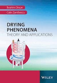 Drying Phenomena - Ibrahim Dinçer - ebook