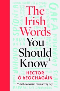 The Irish Words You Should Know - Hector Ó hEochagáin - ebook