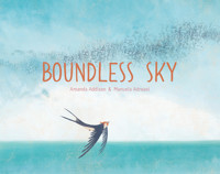 Boundless Sky - Amanda Addison - ebook