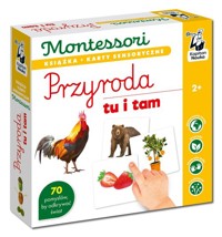 Montessori Przyroda tu i tam - Dołhun Katarzyna - książka
