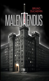 Malentendus - Bruno Duchemin - ebook