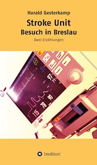 Stroke Unit/Besuch in Breslau - Harald Gesterkamp - ebook