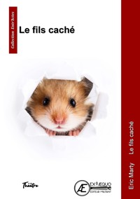 Le fils caché - Éric Marty - ebook