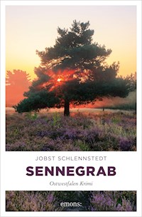 Sennegrab - Jobst Schlennstedt - ebook