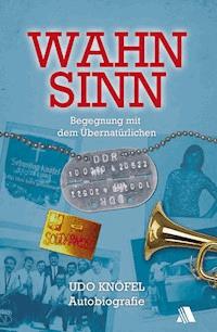 Wahnsinn - Udo Knöfel - ebook