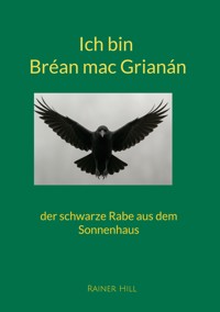 Ich bin Bréan mac Grianán - Rainer Hill - ebook