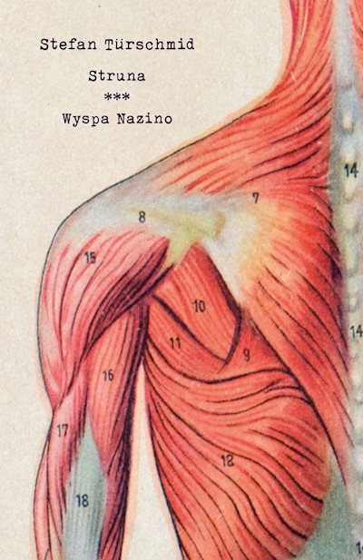 Okładka książki Struna / Wyspa Nazino