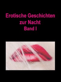 Erotische Geschichten zur Nacht - Abigail Conner - ebook