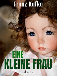 Eine kleine Frau - Franz Kafka - ebook