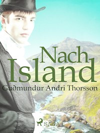 Nach Island - Guðmundur Andri Thorsson - ebook