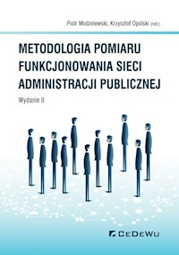 Metodologia pomiaru funkcjonowania sieci administracji publicznej - - książka