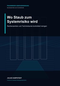 Wo Staub zum Systemrisiko wird - Julius Harpstedt - ebook