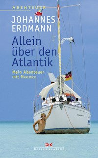 Allein über den Atlantik - Johannes Erdmann - ebook