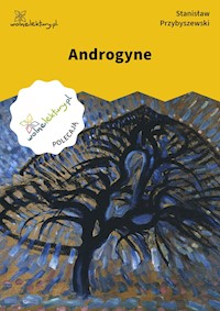 Androgyne - Stanisław Przybyszewski - ebook