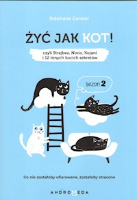 Żyć jak kot Sezon 2 - Garnier Stephane - książka