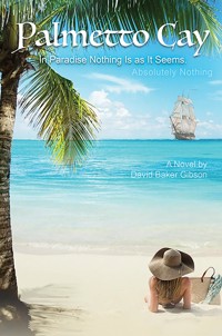 Palmetto Cay - David Baker Gibson - ebook