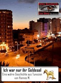 Ich war nur ihr Goldesel - Hannes M. - ebook