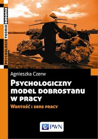 Psychologiczny model dobrostanu w pracy - Czerw Agnieszka - książka