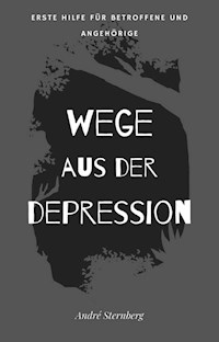 Wege aus der Depression - Andre Sternberg - ebook