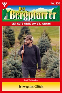 Irrweg ins Glück - Toni Waidacher - ebook