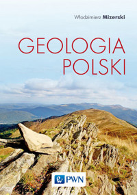 Geologia Polski - Włodzimierz Mizerski - książka