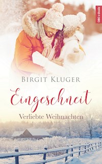 Eingeschneit - Birgit Kluger - ebook