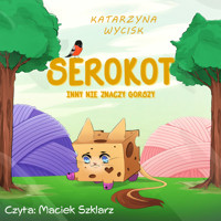 Serokot Inny Nie Znaczy Gorszy - Wycisk Katarzyna - audiobook