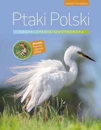 Ptaki Polski Encyklopedia ilustrowana - Kruszewicz Andrzej G. - książka