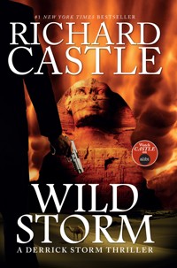 Wild Storm - Richard Castle - ebook