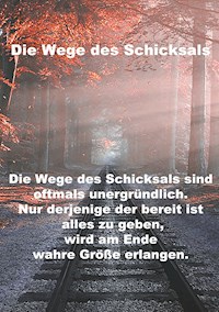 Wege des Schicksals - Sara Nöst - ebook