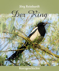Der Ring - Jörg Reinhardt - ebook