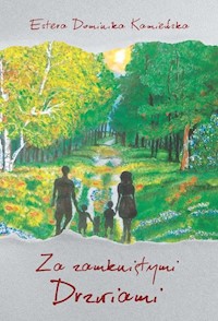 Za zamkniętymi Drzwiami - Kamieńska Estera Dominika - książka