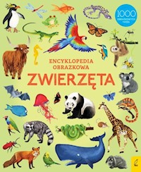 Encyklopedia obrazkowa Zwierzęta -  - książka