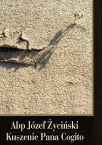 Kuszenie Pana Cogito - Józef Życiński - ebook