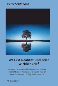 Was ist Realität und/oder Wirklichkeit? - Peter Schlabach - ebook
