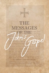 The Messages of the John´s Gospel - Franciny Beatriz Abreu - ebook