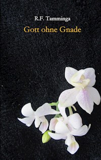 Gott ohne Gnade - R.F. Tamminga - ebook