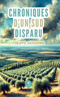 Chroniques d’un sud disparu - Philippe Savournin - ebook