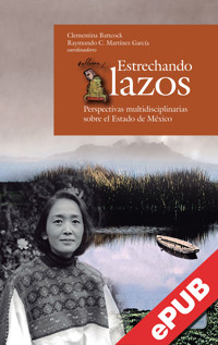 Estrechando lazos - Gustavo Jaimes Vences - ebook