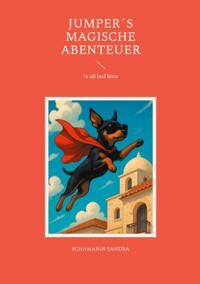 JUMPER´s magische Abenteuer - Schamanin Sandra - ebook