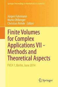 Finite Volumes for Complex Applications VII-Methods and Theoretical Aspects -  - ebook