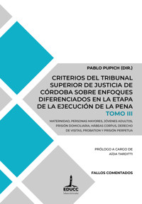 Criterios del Tribunal Superior de Justicia de Córdoba sobre enfoques diferenciados en la etapa de la ejecución de la pena. Tomo III - Pablo D. Pupich - ebook