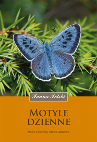 Motyle dzienne - Sielezniew Izabela,Sielezniew Marcin - książka