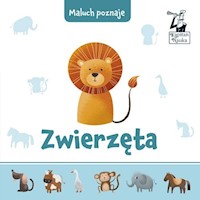 Maluch poznaje Zwierzęta - Lenartowicz Marta - książka