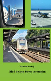 Bloß keinen Stress vermeiden - Hans Brunswig - ebook