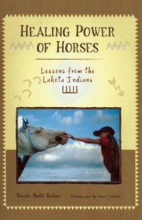 Healing Power of Horses - Wendy Beth Baker - ebook